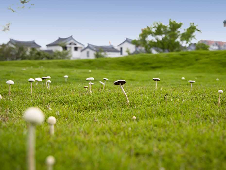 萬科(kē)•白(bái)鹭郡