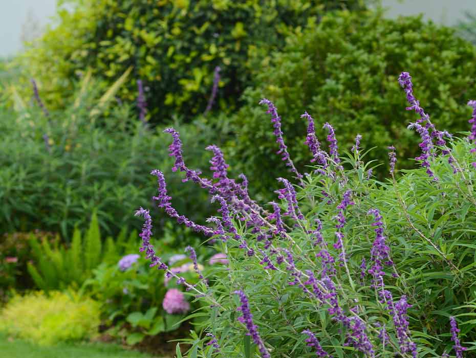 萬科(kē)•白(bái)鹭郡